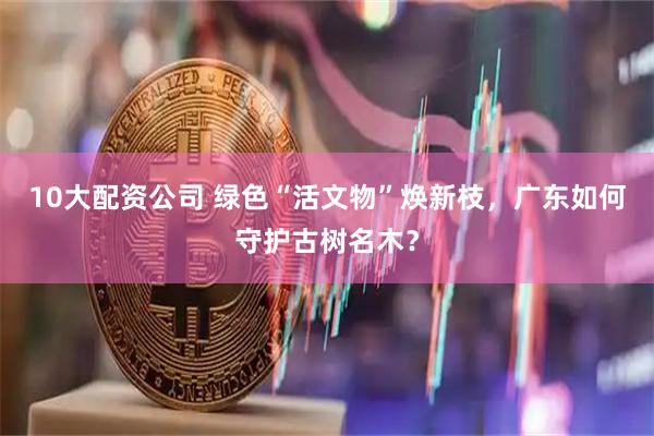 10大配资公司 绿色“活文物”焕新枝，广东如何守护古树名木？