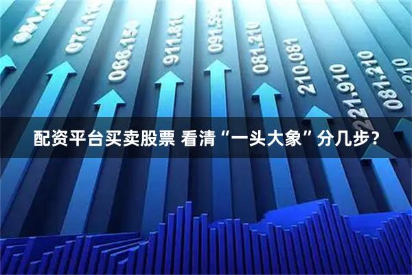 配资平台买卖股票 看清“一头大象”分几步？