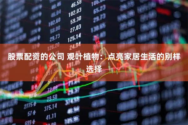 股票配资的公司 观叶植物：点亮家居生活的别样选择